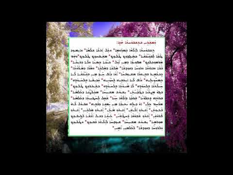    تشبوحتا لالاها بمراومى