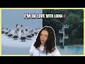 LOONA 이달의 소녀 'favOriTe' & 'Hi High' MV | REACTION!!