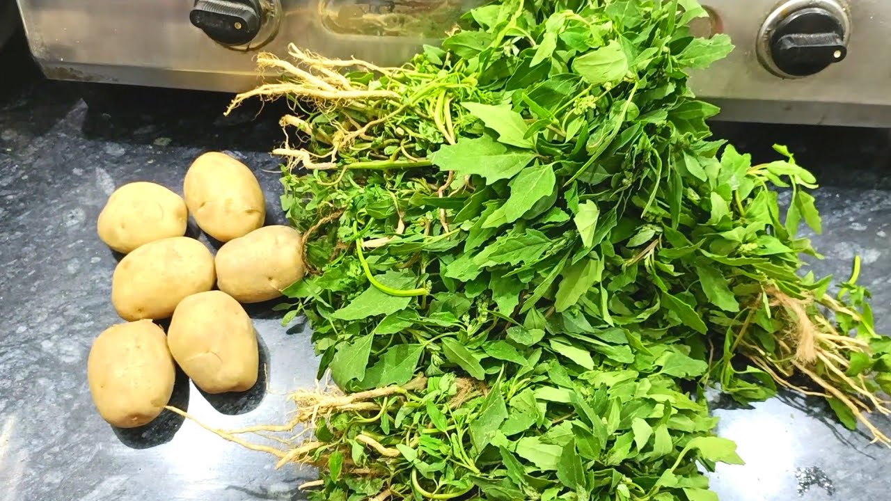 बथुआ और आलू की चटपटी मसालेदार सब्जी इसतरीके से बनाओगे तो पूरी अकेले ही खा जाओगेAloo Bathua Ki Sabji