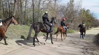VID 86480926 000548 594