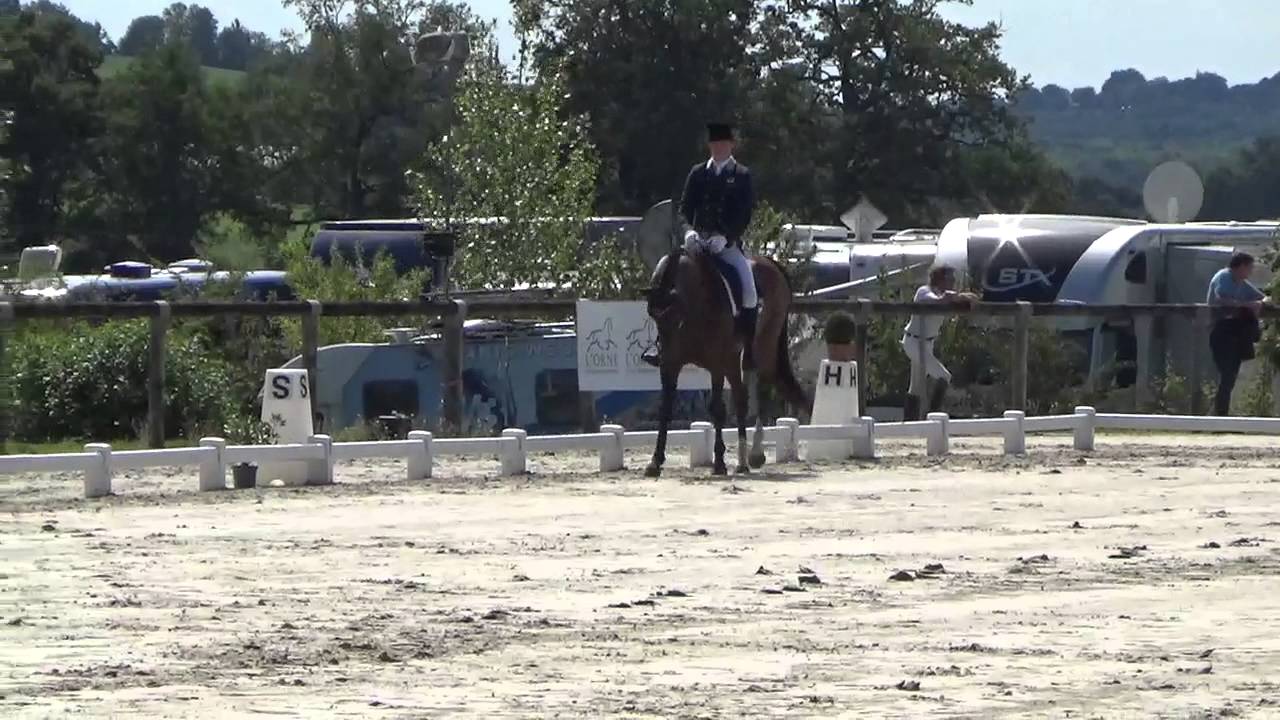 Wodan III and Sam Ecroyd CIC*** dressage - YouTube