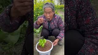 Diam-diam mơ được ăn món vặt TQ một lần – mãi bị cấm, xem TikTok
