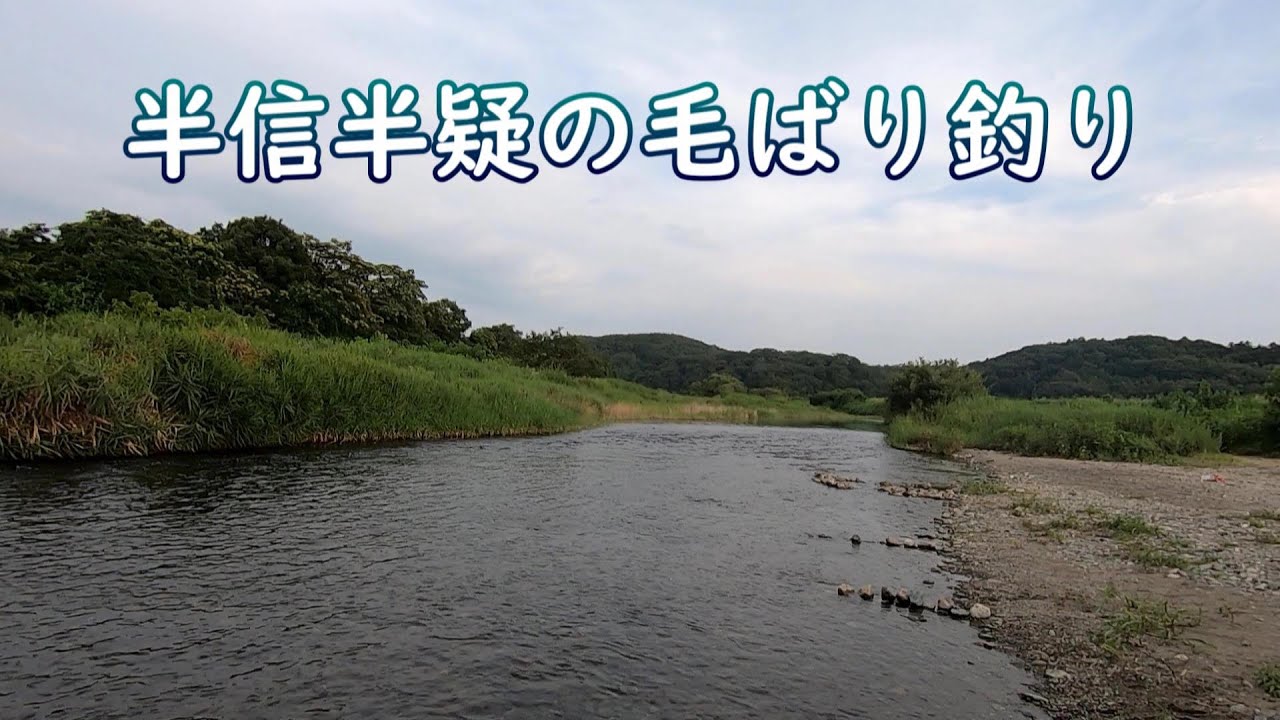 鯉を期待したのに 川口市工場地帯の芝川 Youtube