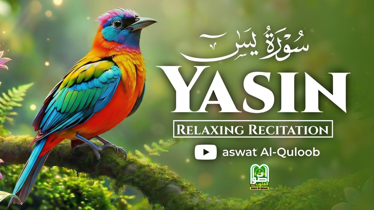 🌙 Surah Yaseen Full Recitation | Most Beautiful & Emotional Quran Tilawat for Peace 🤍📖