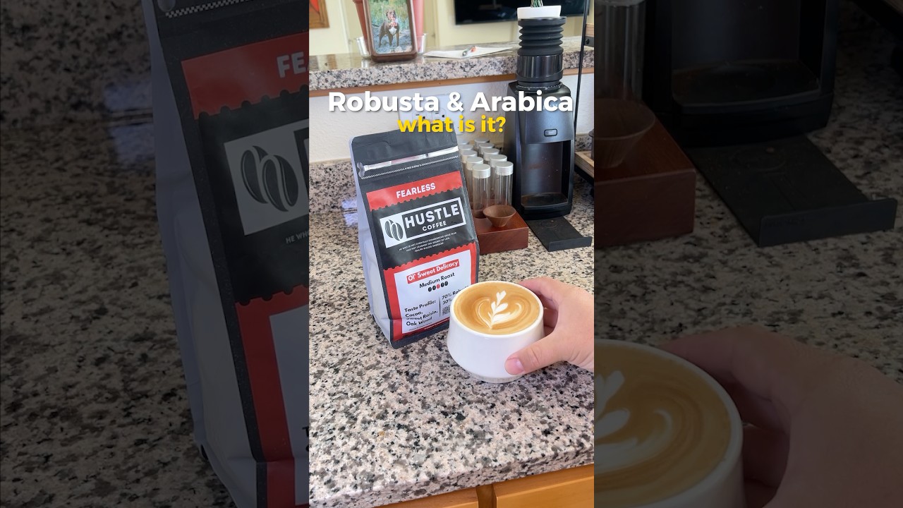 Robusta vs Arabica Coffee Beans 