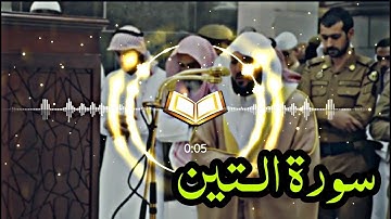 SURAH  At-Tīn (the Fig)  BY QARI Maher Al Muaiqly Beautiful Recitation Of Quran