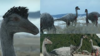 Prehistoric Planet [2022 - 2023] - Ornithomimus Screen Time 