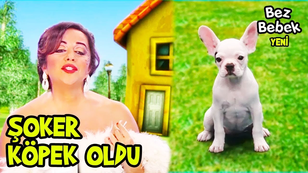 Gorfo, Şoker�i Köpeğe Dönüştürdü Bez Bebek Eğlenceli Videolar YouTube