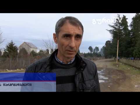 გურიის ახალი ამბები – სივრცე ახალგაზრდებისათვის – დაბა ლაითური