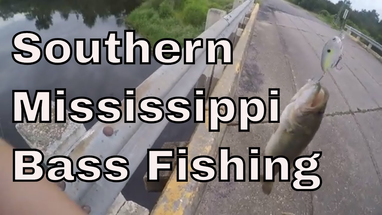 Southern Mississippi Fishing