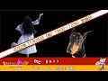 【ヒラカワクエストMINI】 MC:貞子 ゲスト:犬(癒し系代表)