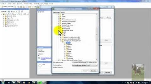Descargar y Ejecutar Sistema de ventas desarrollado en Netbeans con SQL server