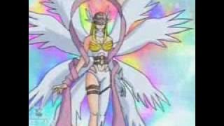 Kari makes Gatomon digivolve into Angewomon