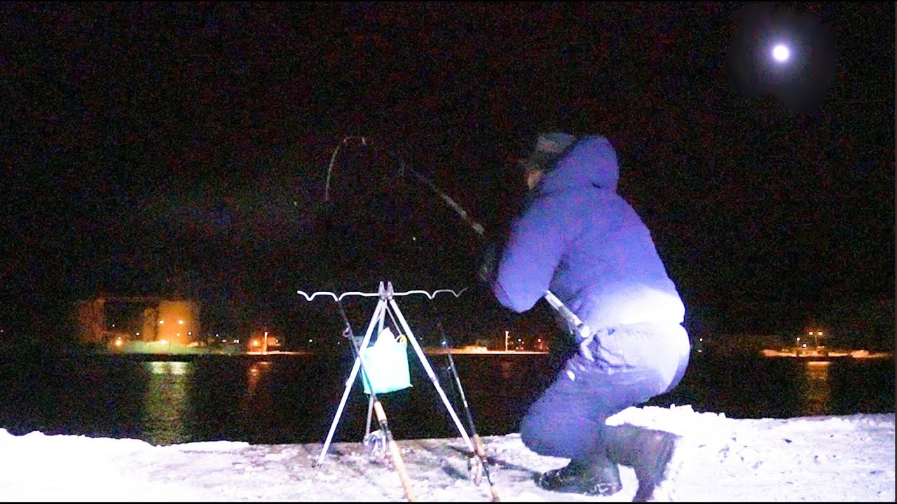 真冬の留萌で待望の一尾。やっぱり夜釣りは最高だ。