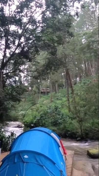CAMPING NYAMAN TEPI SUNGAI! Pineus Tilu Riverside