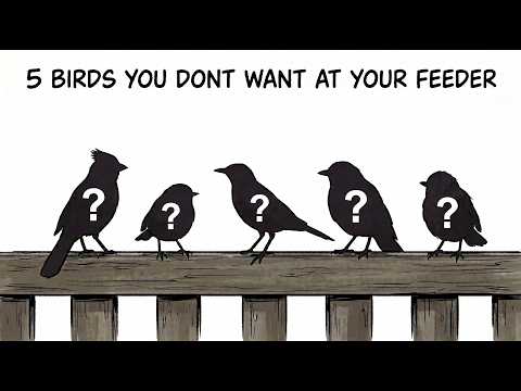 These 5 Birds Are Driving Away Everything You Want