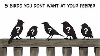 5 Common Backyard Birds You Don't Want At Your Feeder