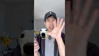 Avocados Are Dangerous