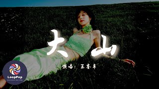 王睿卓 - 大山『我被一陣風困在這裡,你就替我摘朵索瑪花走吧。』【動態歌詞 | Pinyin Lyrics】【LoopPop MUSIC】