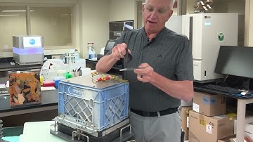 Arms and ARMS for Coral Reefs, Lee Weigt, Director, Laboratories of Analytical Biology