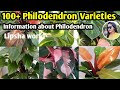 100+ Varieties of Philodendron Plants || Identification of Philodendron Plants || Rare Philodendron