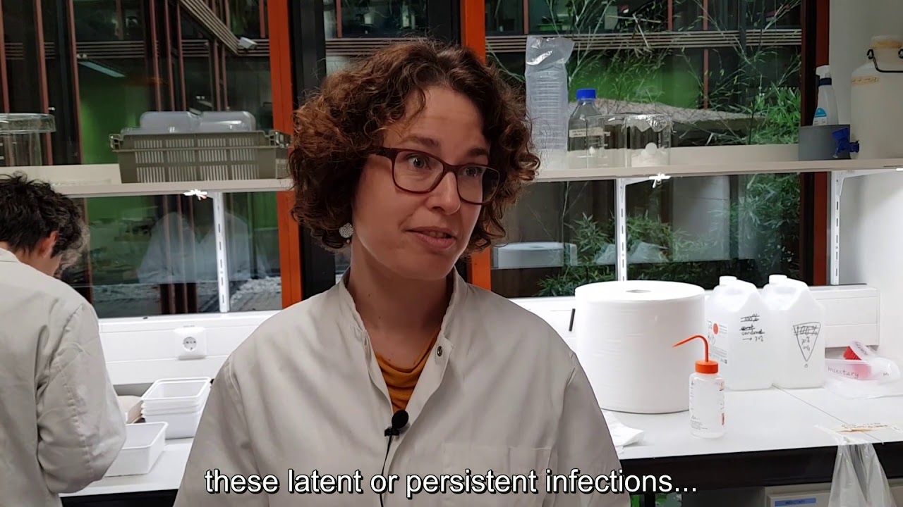 WUR researcher Vera Ros received a Vidi grant for her research on ...
