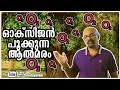 Peepal Tree To Boost Oxygen - Science Or Superstition Malayalam | Lucy | Chandrasekhar. R