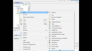 Lab 2: Network Modelling - Traffic generator, Sink and a Hub Wealth