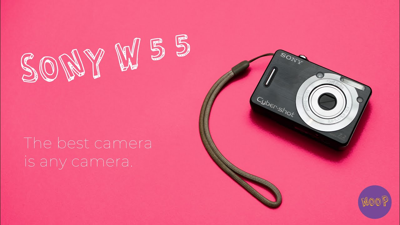 The Best Camera is Any Camera - Sony DSC-W55: Using a Point
