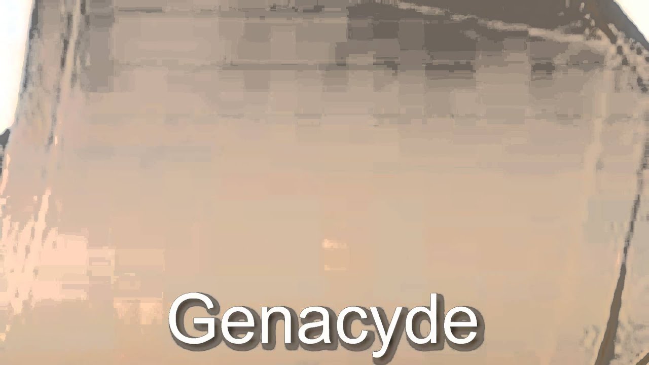 Genacyde & D  You  Slip Sheet Walmart 6064 Flow