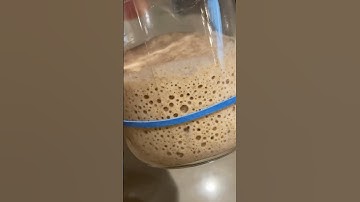 #1 Thing I Wish Someone Told Me About Sourdough #bread #sourdough #food #baking