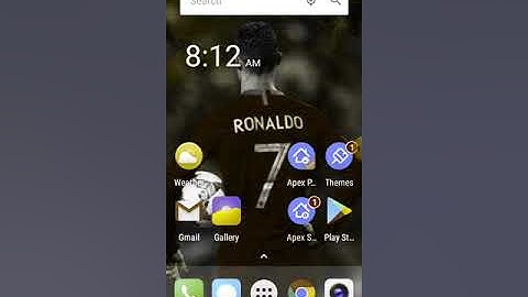 how to remove the  apex launcher