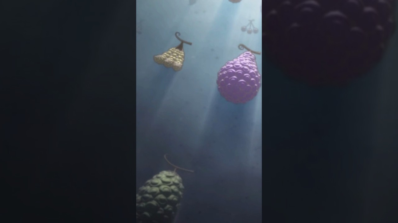 The Most Powerful Combination Of Devil Fruits !!!!!!