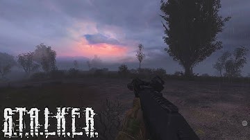 Успей почувствовать - STALKER Anomaly Redux