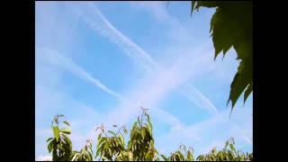 25 What are they doing to us music by Paul Collier - Relax Music