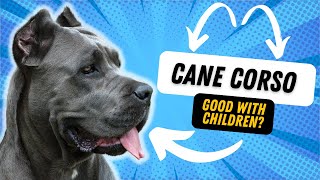Are Cane Corso Good With Kids?
