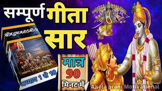 श्रीमद भगवद गीता सार।संपूर्ण गीता। Bhagawad Geeta  All Chapters।गीता सार 90 मिनट में@Akela prani