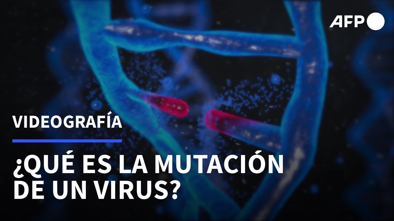 Convoca a tu servicio: ¿Por qué no debes consumir dióxido de cloro para  prevenir o tratar el COVID-19?