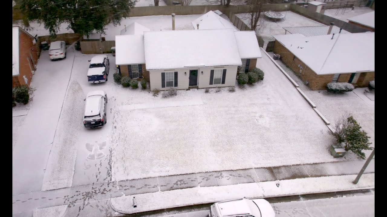 Snow Day - January 21, 2025 - YouTube