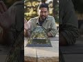 3-4 Person Camping Dome Tent