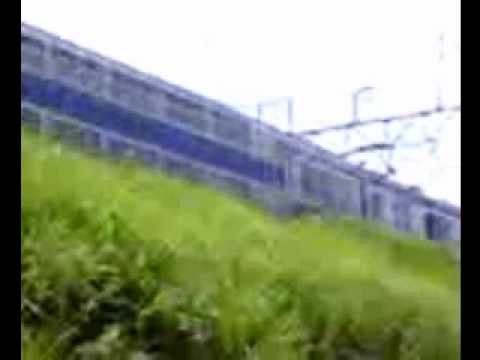 20090725 1355M列車 並木の公園