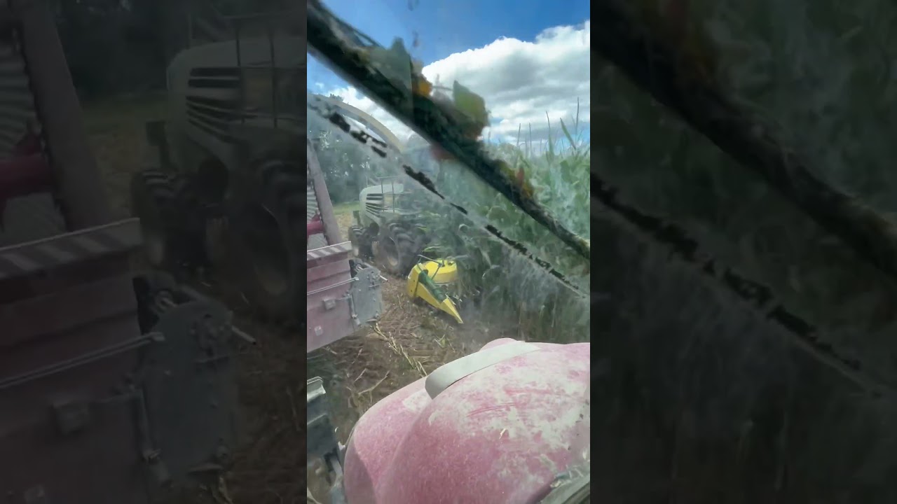 Filling our heifer silo!!