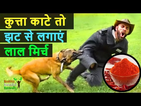 वीडियो: क्या सजावटी मिर्च जहरीली होती हैं?