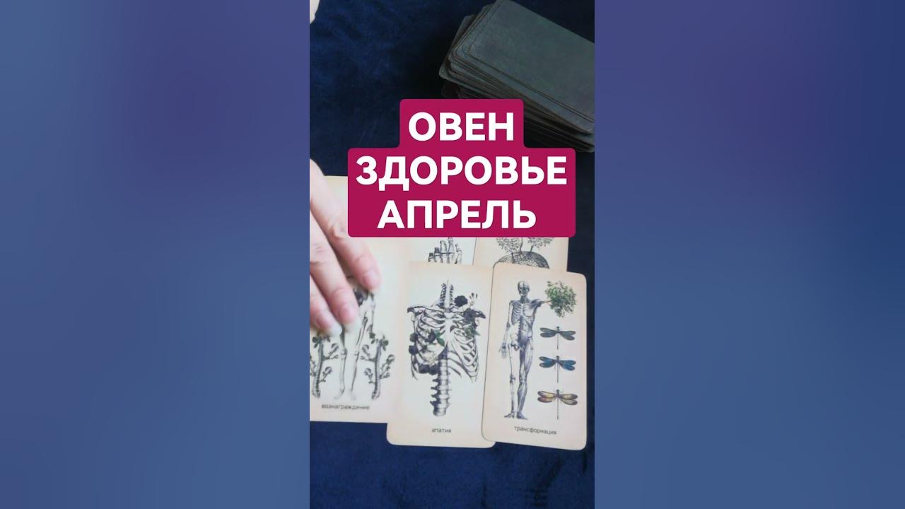Овен здоровье. Овен здоровье. Гороскоп овен здоровье. Овен здоровье. Аватарка овен.