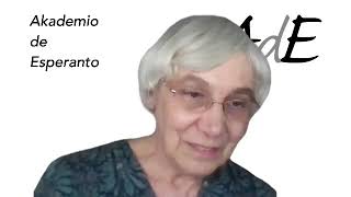 #VK21 Akademio de Esperanto: publika kunsido