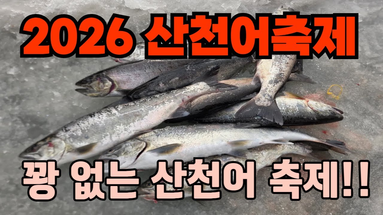 2026 산천어축제 꿀잼