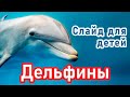 🔴ОЧЕНЬ интересный СЛАЙД - ДЕЛЬФИНЫ / Христианский Слайд для детей