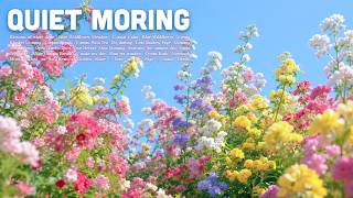 quiet moments in a daisy meadow 🌿 soft piano music for study, work & reading screenshot 4