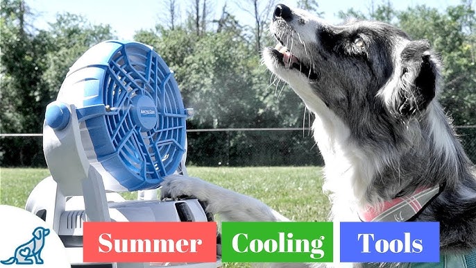 Aftensmad marv Melting Keep your pets cool this summer with a K9 cooling fan on their kennel -  YouTube