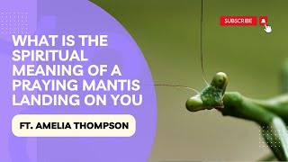 Famous What Does it Mean When a Praying Mantis Lands on You? You Won't Believe This! Net Worth